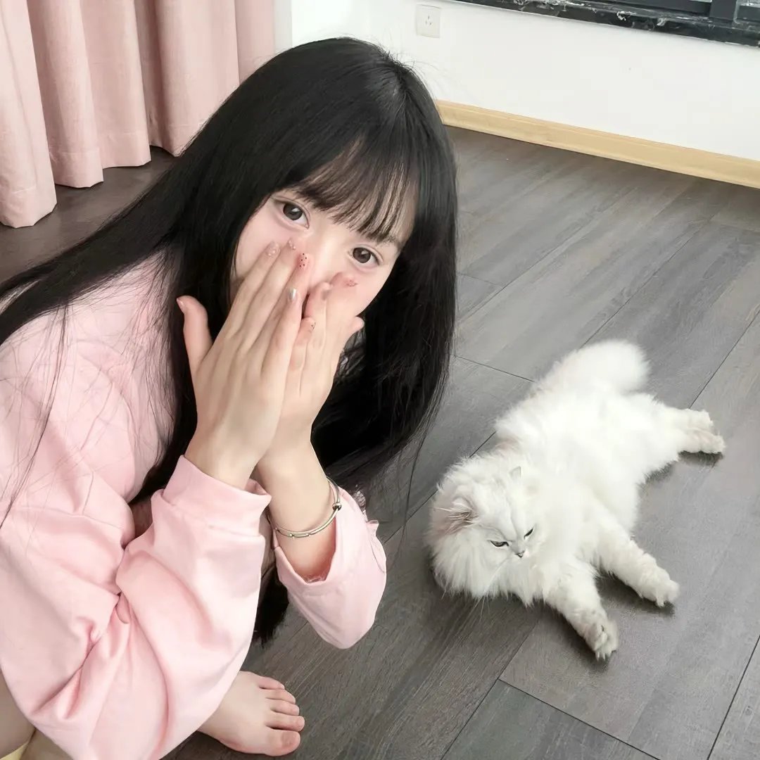 圣诞公主